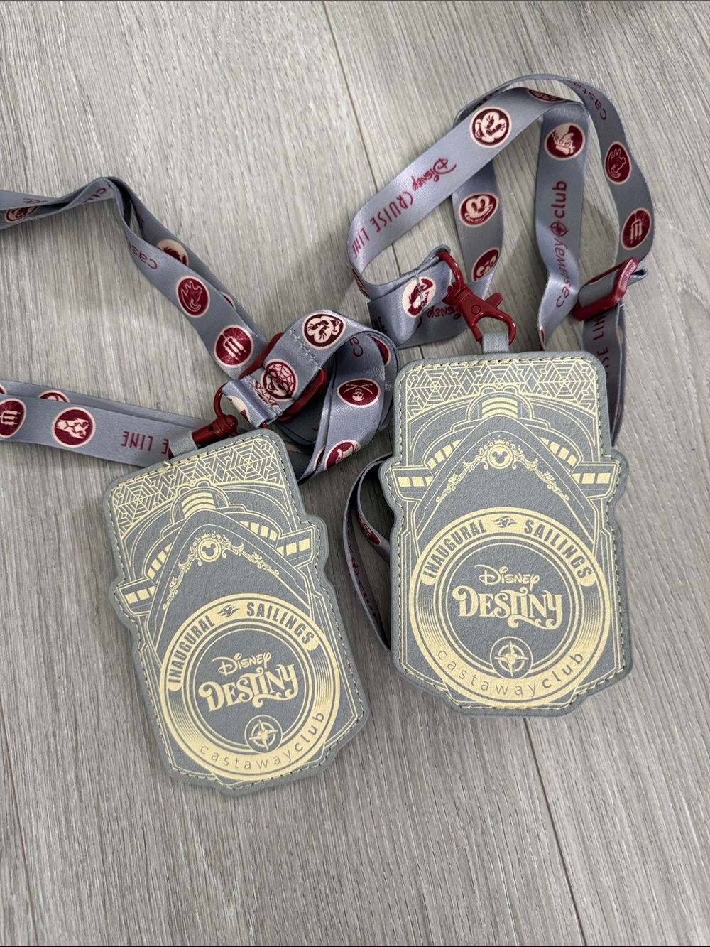 Disney Destiny Castaway Club Lanyard Card Holders -  silver